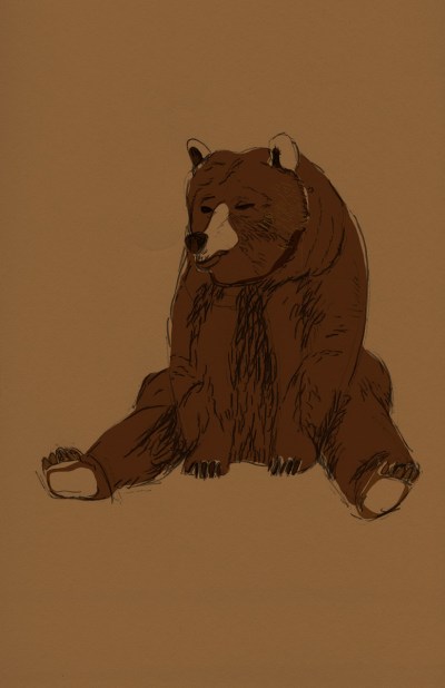 brownbear